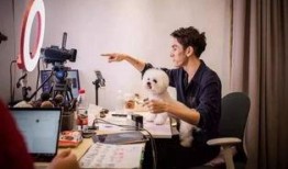 另类视频第一页,第一页内容深度解析